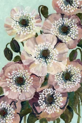 Amapolas rosa palo