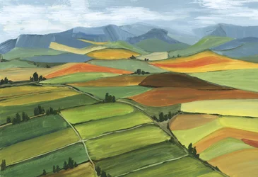 Campos ondulados y coloridos