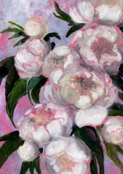 Peonías de color rosa pálido