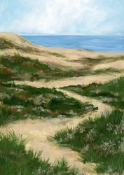 Sendero sinuoso por las dunas