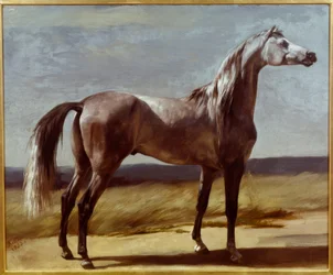 Caballo en un paisaje