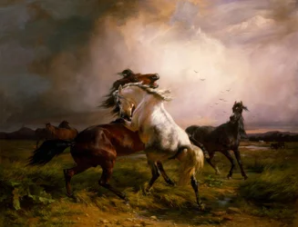 Lucha contra los caballos salvajes