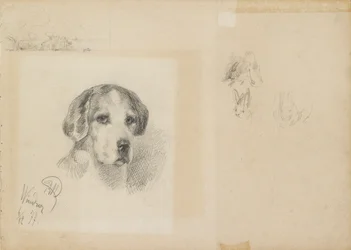 Retrato de un perro: Windsor, 1877