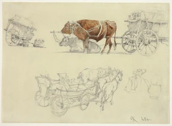 Estudios de carretas campesinas eslovacas con bueyes y caballos