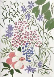 Flores de colores en el jardín