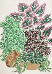 Plantas en maceta llenas de color