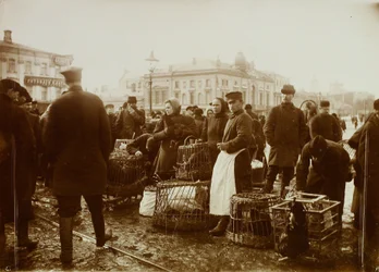 El mercado de pájaros de la plaza Trubnaya de Moscú