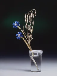 Acianos y espigas de trigo, taller Fabergé, década de 1880