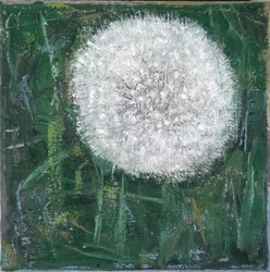 Cabeza de diente de león, 2008