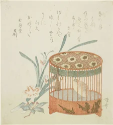 Jaula de pájaros y flores