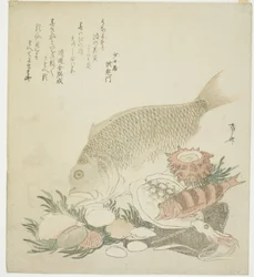Pescado y conchas