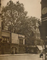 Un Inquilino Favorecido de la Ciudad: El Plátano en Cheapside, c. 1935