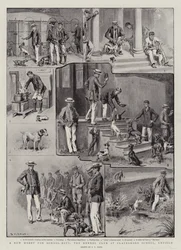 Un nuevo pasatiempo para los escolares, el Club de Perros en la Escuela Clayesmore, Enfield