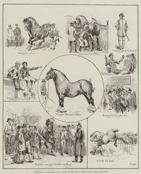 Bocetos en la Exposición de Caballos Shire, en el Royal Agricultural Hall, Islington