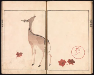 Álbum de imágenes Ōson (Hōitsu) (Ōson gafu)