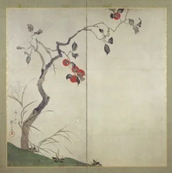 Caqui en un árbol