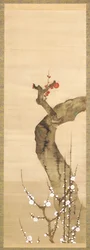 Red And White Plum Blossoms (tinta, color y oro sobre seda)