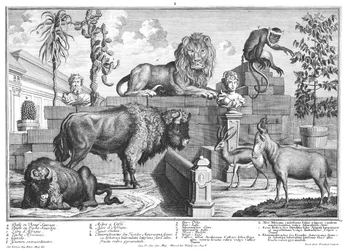 Pareja de leones y bisontes