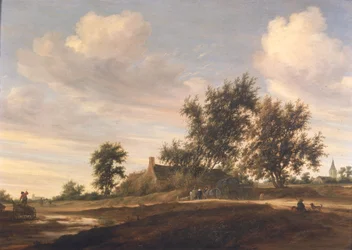 Paisaje boscoso extenso