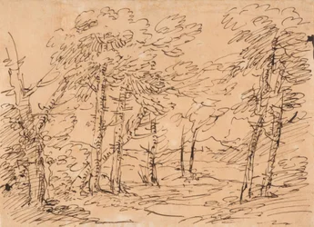 Paisaje con árboles y montañas al fondo