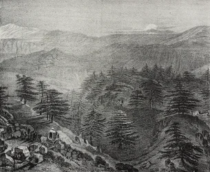 Vista del Monte Líbano con sus famosos cedros, Líbano, litografía de Salvatore Puglia de Poliorama Pittoresco, n 10, 15 de octubre.