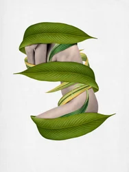 Un cuerpo envuelto en la naturaleza