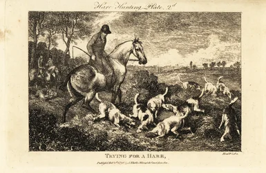Cazador montado observando una jauría de perros cavando para encontrar liebres