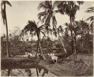 Vista del pueblo en Bengala, India Escena rústica y vida de pueblo en Bengala (título original)