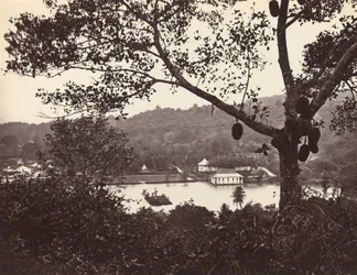 Vista desde Upper Lake Road mostrando el templo y la isla con parque - árbol frutal en primer plano, c1865