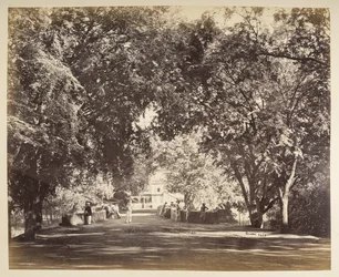 Un arco de árboles cerca de Tanjore