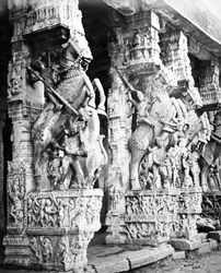 Pilares de caballos tallados en el Templo Ranganatha, Srirangam, 1869