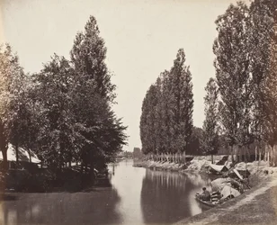 Río con árboles (India)