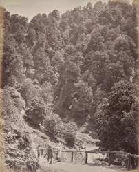 Shimla. Vista hacia el norte del monte Jakko
