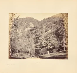 Simla; Jakko, desde "Oakover" (Vista general desde la carretera de Tonga)