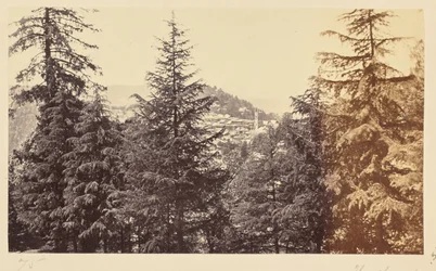 Simla; La iglesia a través de los árboles, de Jakko