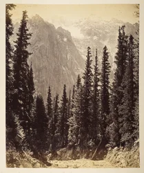 Alturas nevadas del valle de Wanga