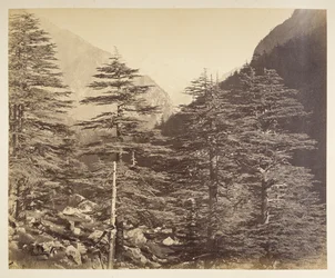 Picos nevados cerca de Gangootri desde Bhairamghati. Fotógrafo: Bourne, Samuel Álbum de fotografías de la India, principalmente por Samuel Bourne1866