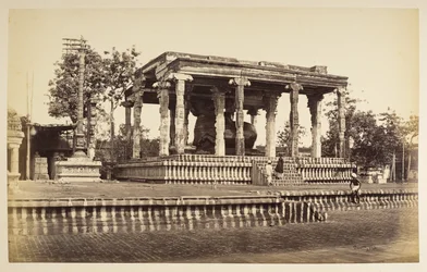 El gran toro de piedra, Tanjore