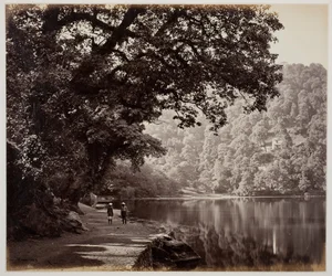 Sin título [árboles cerca del agua, India], 1870s
