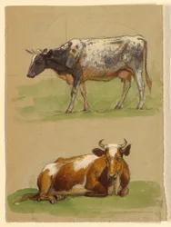 Ganado, una vaca caminando y una vaca agachada