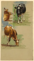 Dibujo, Ganado, Novillos, 1875-80