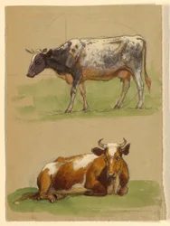 Dibujo, Ganado, una vaca caminando y una vaca agachada, 1875-80