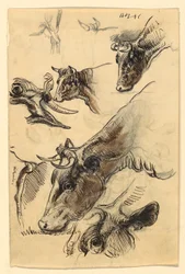 Dibujo, Bocetos. Ganado, Irvington, septiembre de 1876