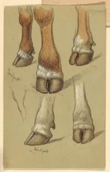 Dibujo, Estudios sobre el ganado, 1871