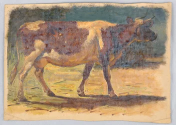 Dibujo, Estudios. Vacas, agosto de 1876