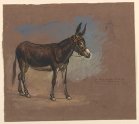 Dibujo, Estudio. Una mula, 1872-75