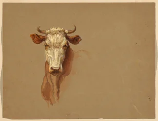 Dibujo, Dos estudios.  Ganado, 1876