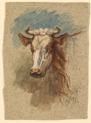 Cabeza de una Vaca, Étretat
