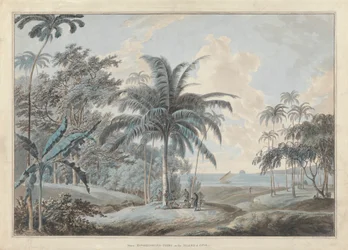 Cerca de Eucheconing Point, Java