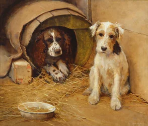 En la caseta del perro
